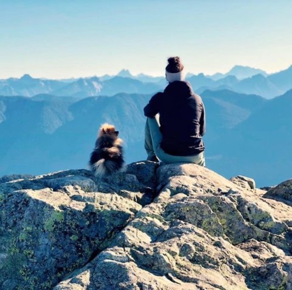 Meet your Posher, Brianna - Picture 1 of 1